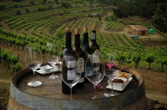 Os 10 Melhores Vinhos do Mundo: O Guia Definitivo para Apreciadores